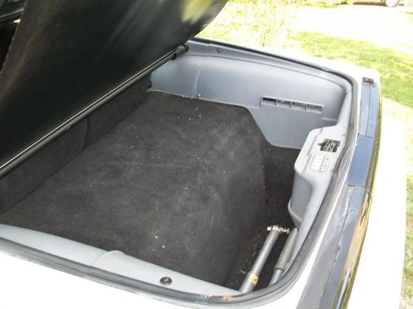put in the black carpets. I dont think that the black carpet and grey panel look to bad..