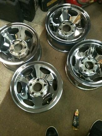 Chromers .. putting on in spring
