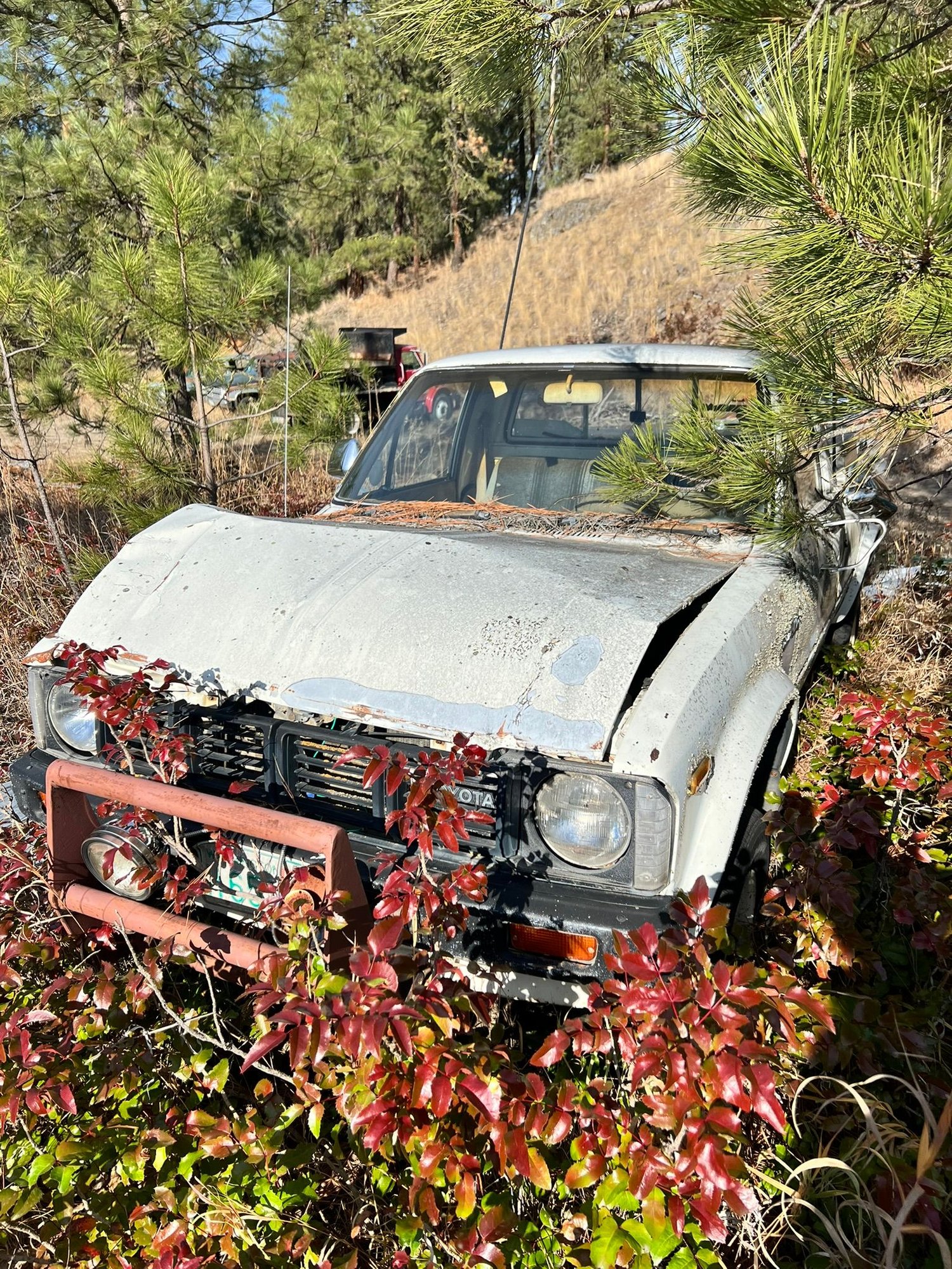 I last saw it my senior year of high school, blew the motor, and left for work just after graduation. This was the picture I took as I walked up to it 27 years later.