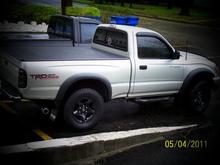 NEW TINTS
