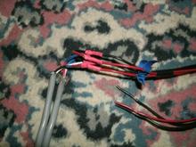 600xStereo rear harness

Stereo end of rear speaker harness