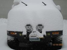 IMG 0791