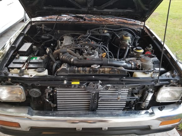 Not bad for a 26 year old engine bay.