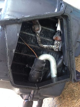 Washed with dish soap and a rag 
I took it out of the box!

Did not get water in the tube
Blew it all off with compressed air