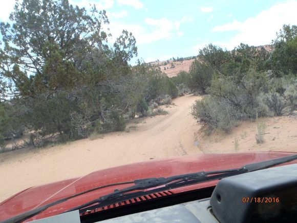 near coral pink sand dunes state park
