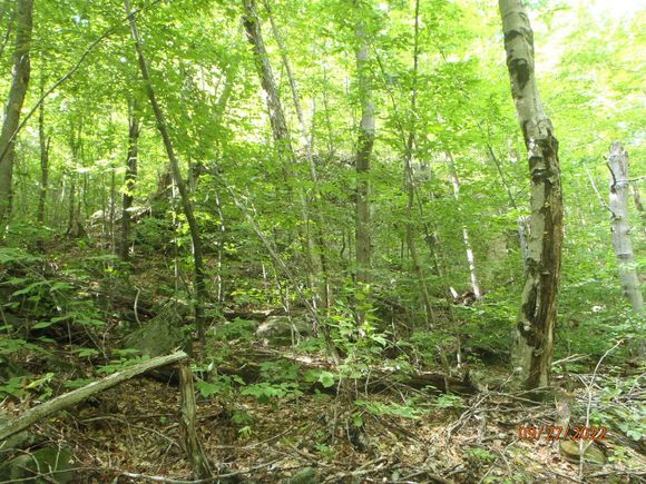 ledge outcrop