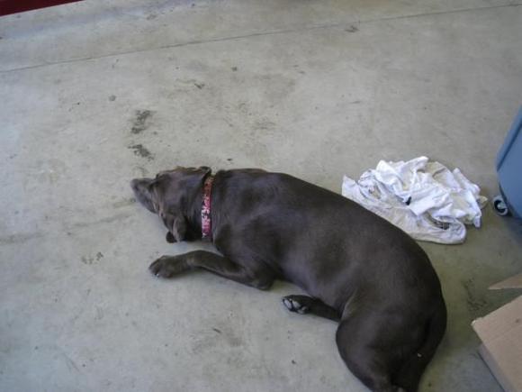 Marley,just kicken back.
