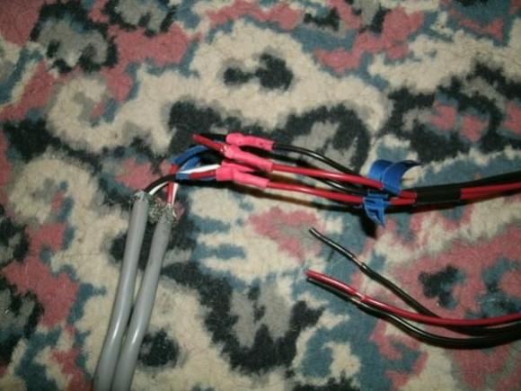 600xStereo rear harness

Stereo end of rear speaker harness
