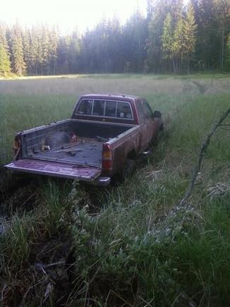 stuck in a swamp haha some one else did it.. turns out it was a 454 chevy on 40's ooops