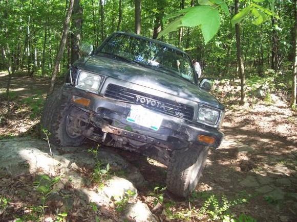 Hangin in the woods.