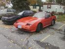 my z my z