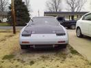 z31