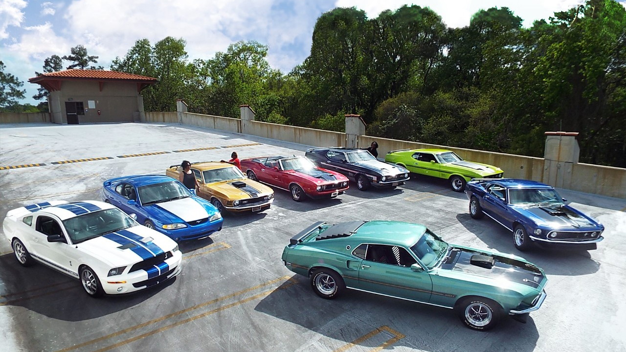 Speed family Mustang collection