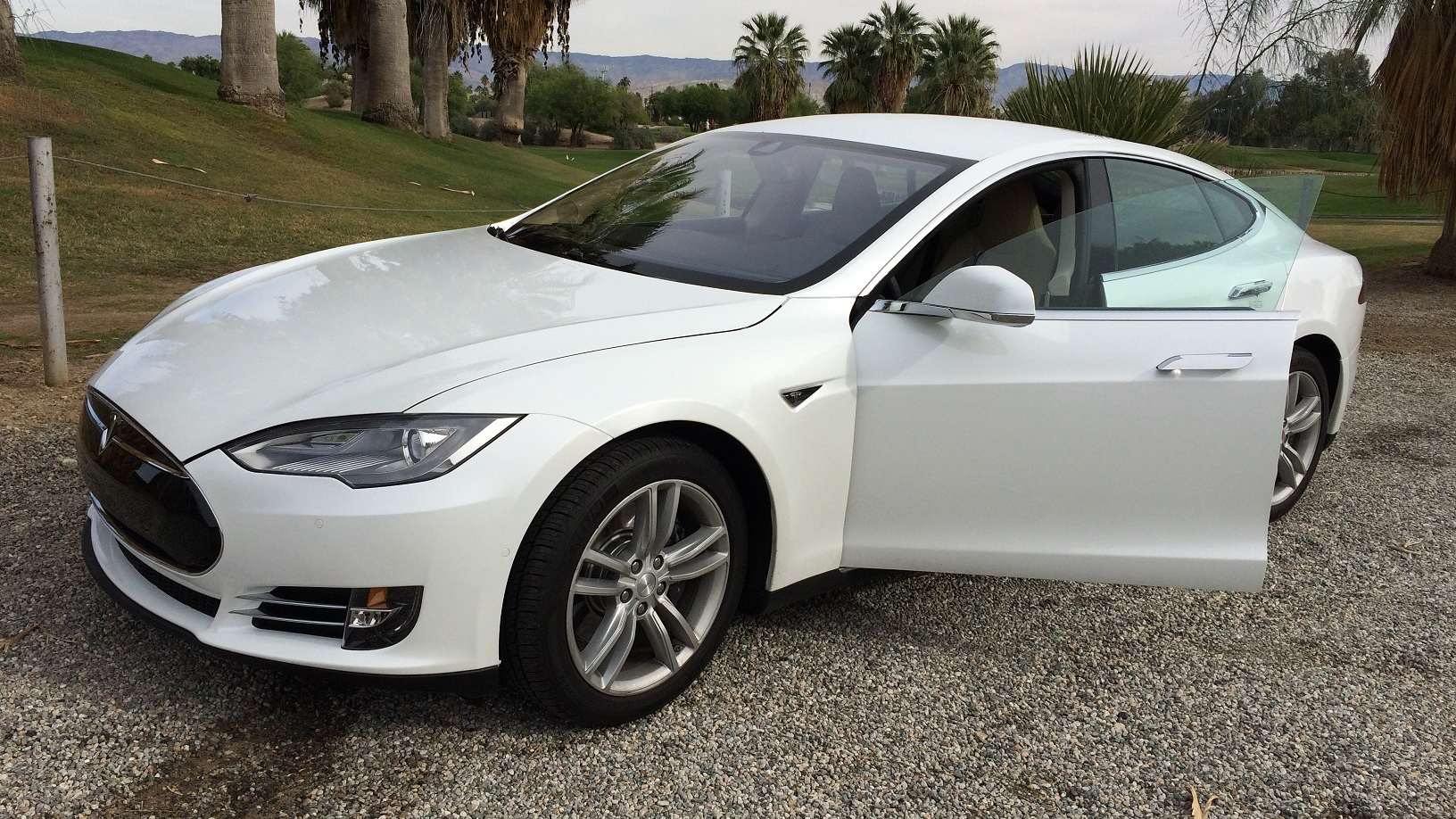2014 Tesla Model S owned by Tom + Jeff of Palm Springs, California