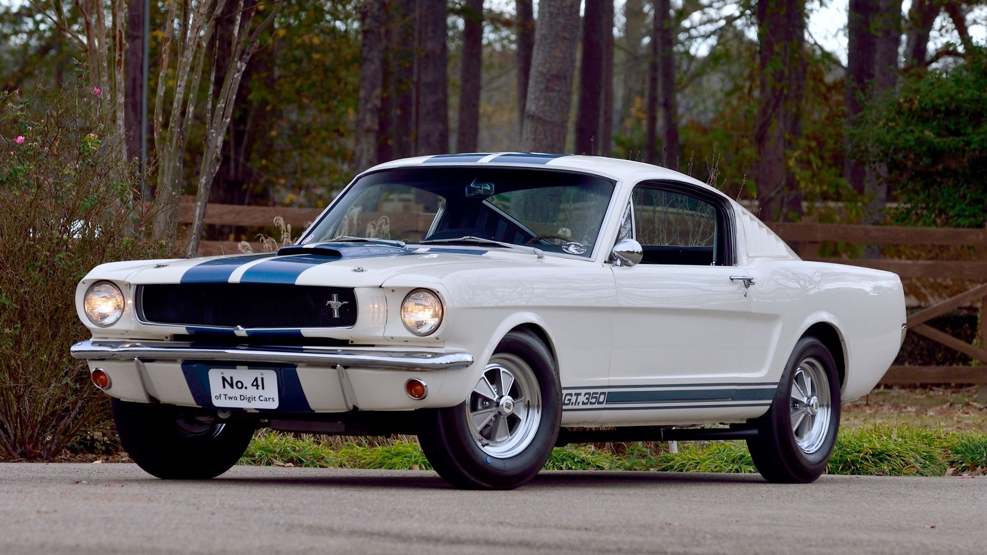 Jim McMurrey collection, 1965 Shelby GT350