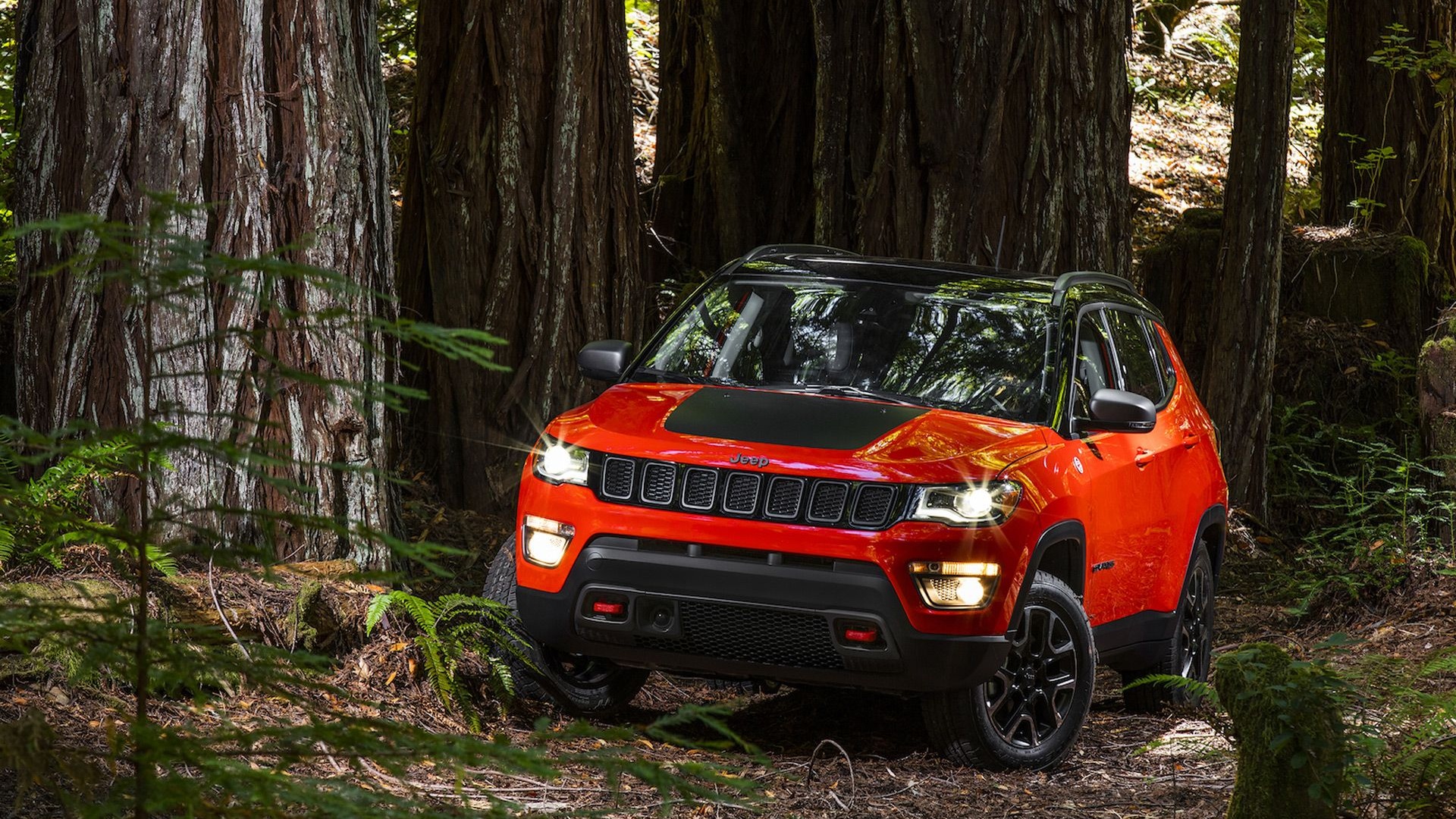 2017 Jeep New Compass Trailhawk