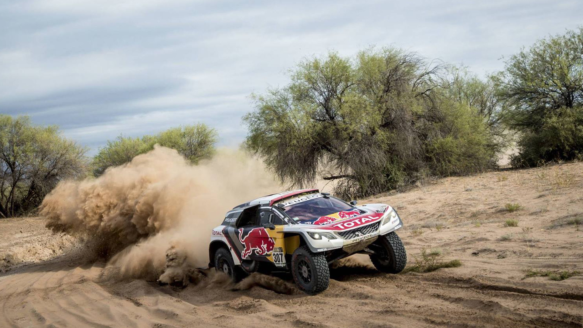 2017 Peugeot 3008 DKR in the Dakar rally