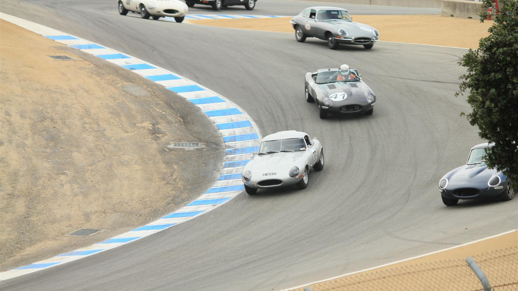 Jaguar E-Types at the Corkscrew, 2011 Rolex Monterey Motorsports Reunion