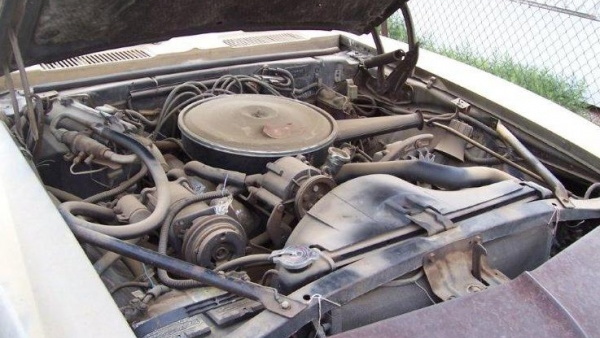 1967 Camaro RS/SS survivor - image: Barn Finds