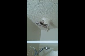 Winbranch Apartments - 28 Reviews | Memphis, TN Apartments for Rent