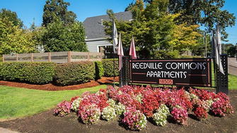Reedville Commons - Aloha, OR