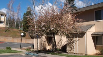 Carson Ridge Apartments - Placerville, CA