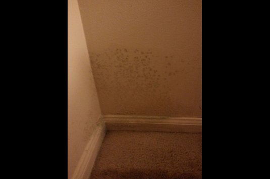 Round Barn Manor Apartments 7 Reviews Greencastle In Image Of Round Barn Manor Apartments In Greencastle