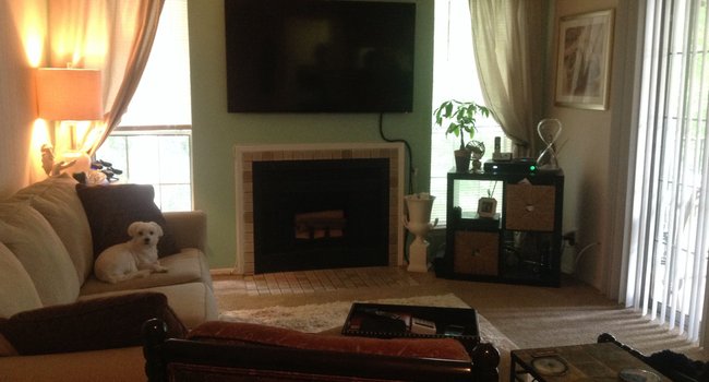 amberton apartments 121 reviews manassas va apartments for rent