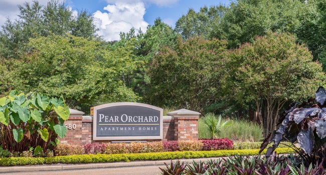 Pear Orchard Apartments - Ridgeland MS