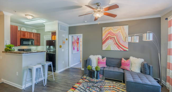 Spacious Living Room and Kitchen