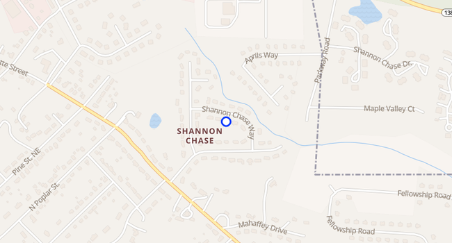 105 Shannon Chase Way - Fairburn GA