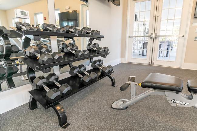 The Haven at Regent Park - 83 Reviews | Fort Mill, SC Apartments for