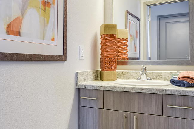 The Emerson Apartments - 24 Reviews | Pflugerville, TX Apartments for