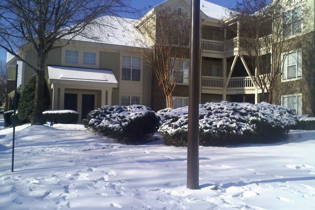 Ashford Green 354 Reviews Charlotte, NC Apartments for