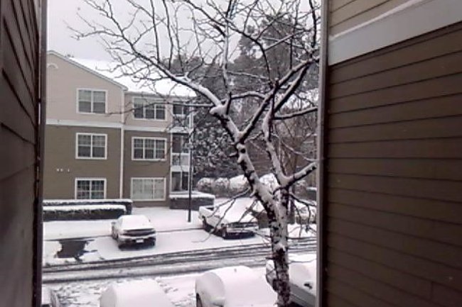 Windsor Falls Apartments 181 Reviews Raleigh, NC