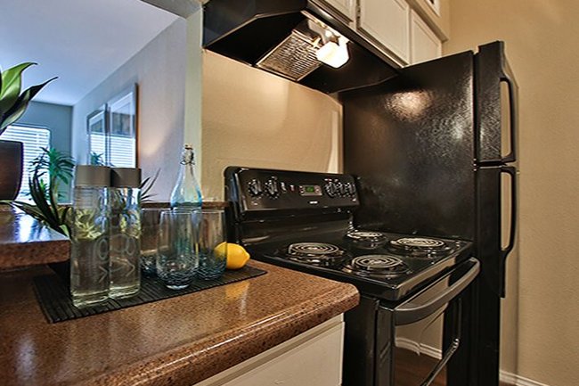 Cabana On Everhart 79 Reviews Corpus Christi Tx Apartments For Manager Uploaded Photo Of Cabana On Everhart In Corpus Christi Tx